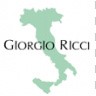 Giorgio Ricci nette schoenen inschieters instappers klassiek Vermeulen modeschoenen Dongen