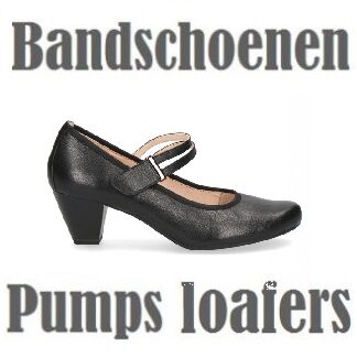 Bandschoenen, pumps en loafers